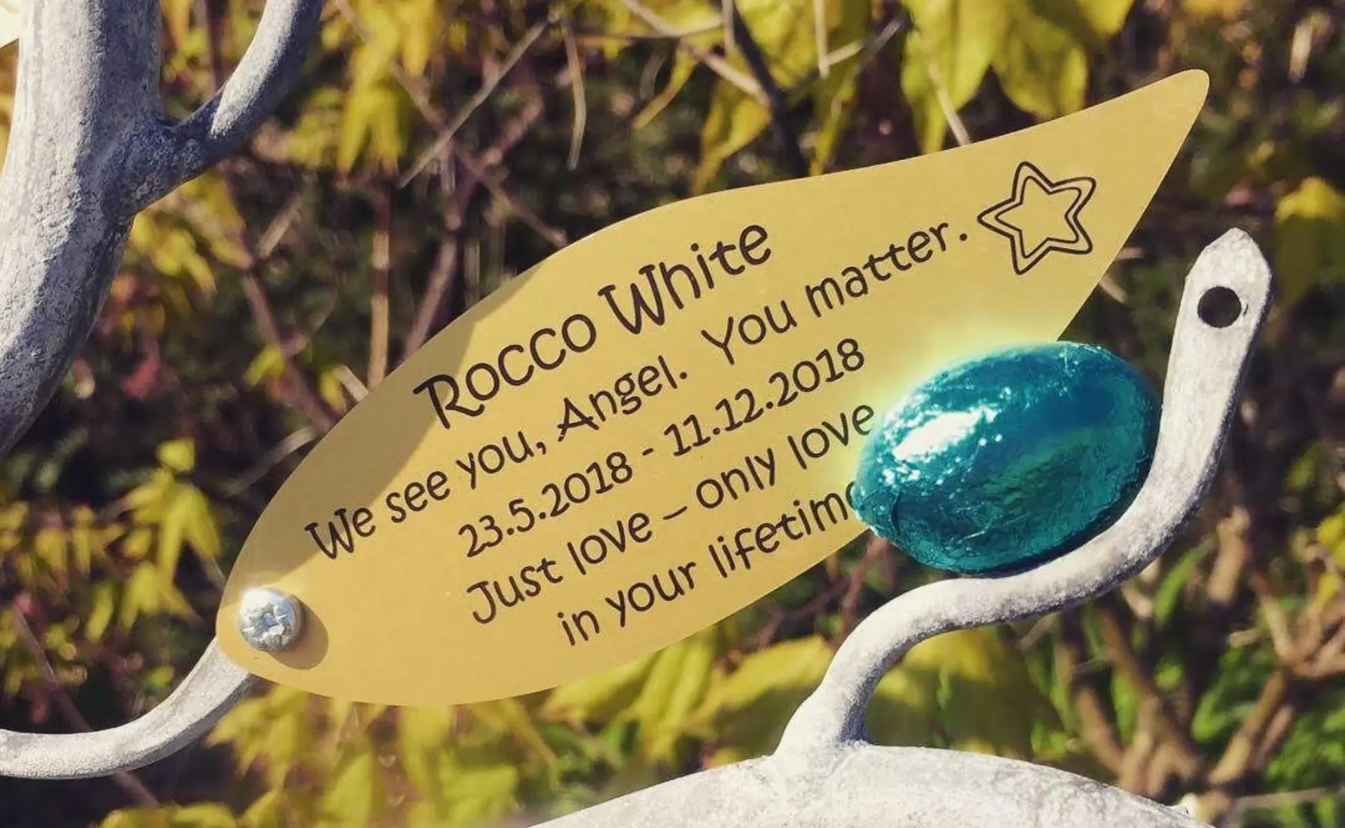 Remembering-Rocco-5 Rocco's memorial leaf, which reads: Rocco White. We see you, Angel. You matter. 23.5.2018 - 11.12.2018. Just love - only love in your lifetime.