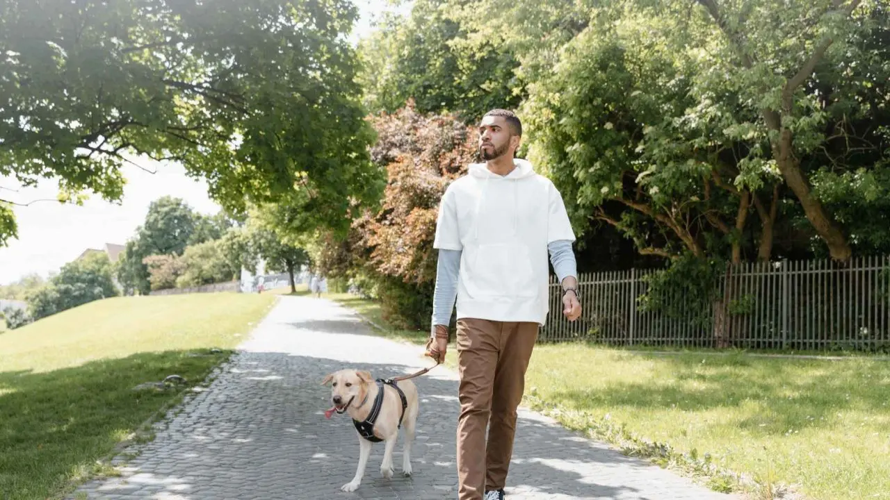 Man and dog walking in a park