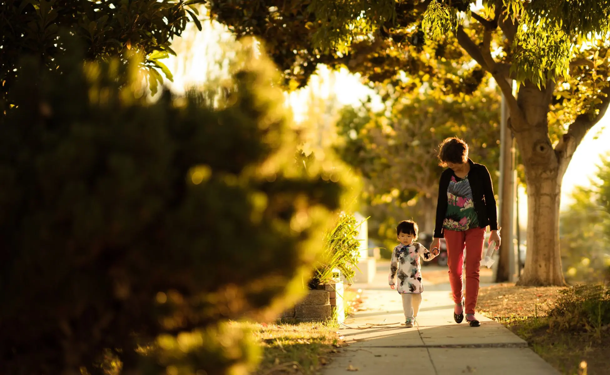 How to prepare children for the death of someone important: image with a Asian woman holding the hand of a small child as they walk down a path shielded by trees