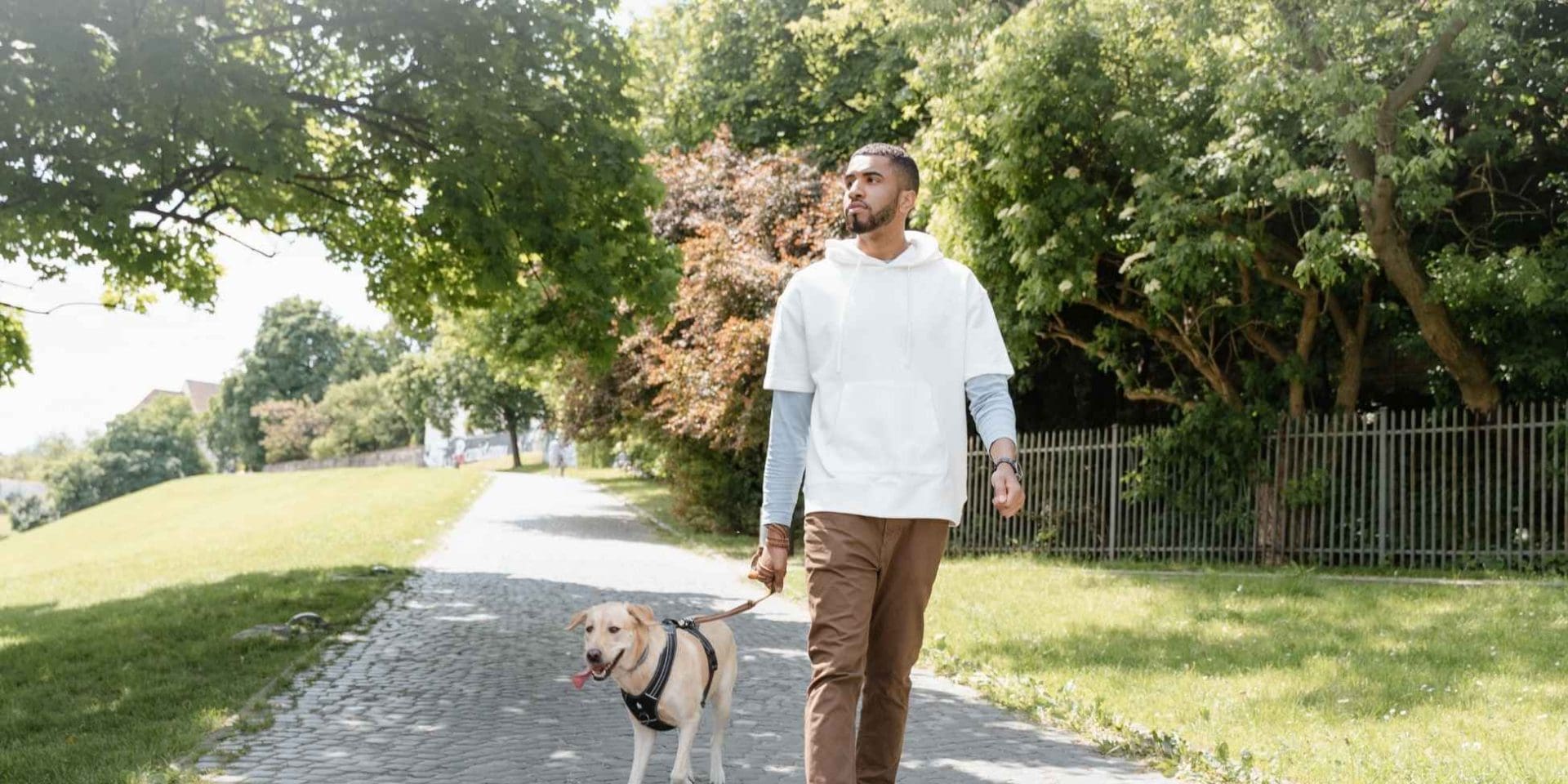 Man and dog walking in a park